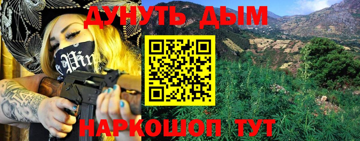 Канабис планчик Светлоград